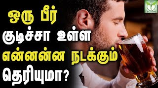 What Happens To Your Body After Drinking beer - Tamil Health Tips