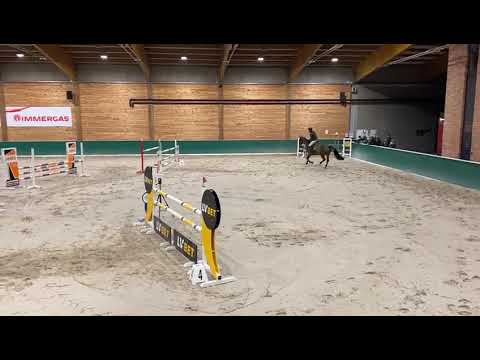 Tracja (Spartacus x Triple) 2020/11/28 ZR Salio - 130 cm 1st place I SPRZEDANA/SOLD