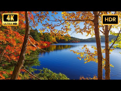 Autumn EXPLOSION in 4k ultra hdr with Stunning Fall Foliage