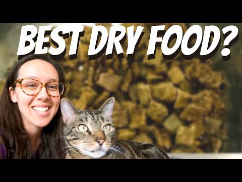 The best dry cat food I could find. Use these to transition from kibble to wet or raw!