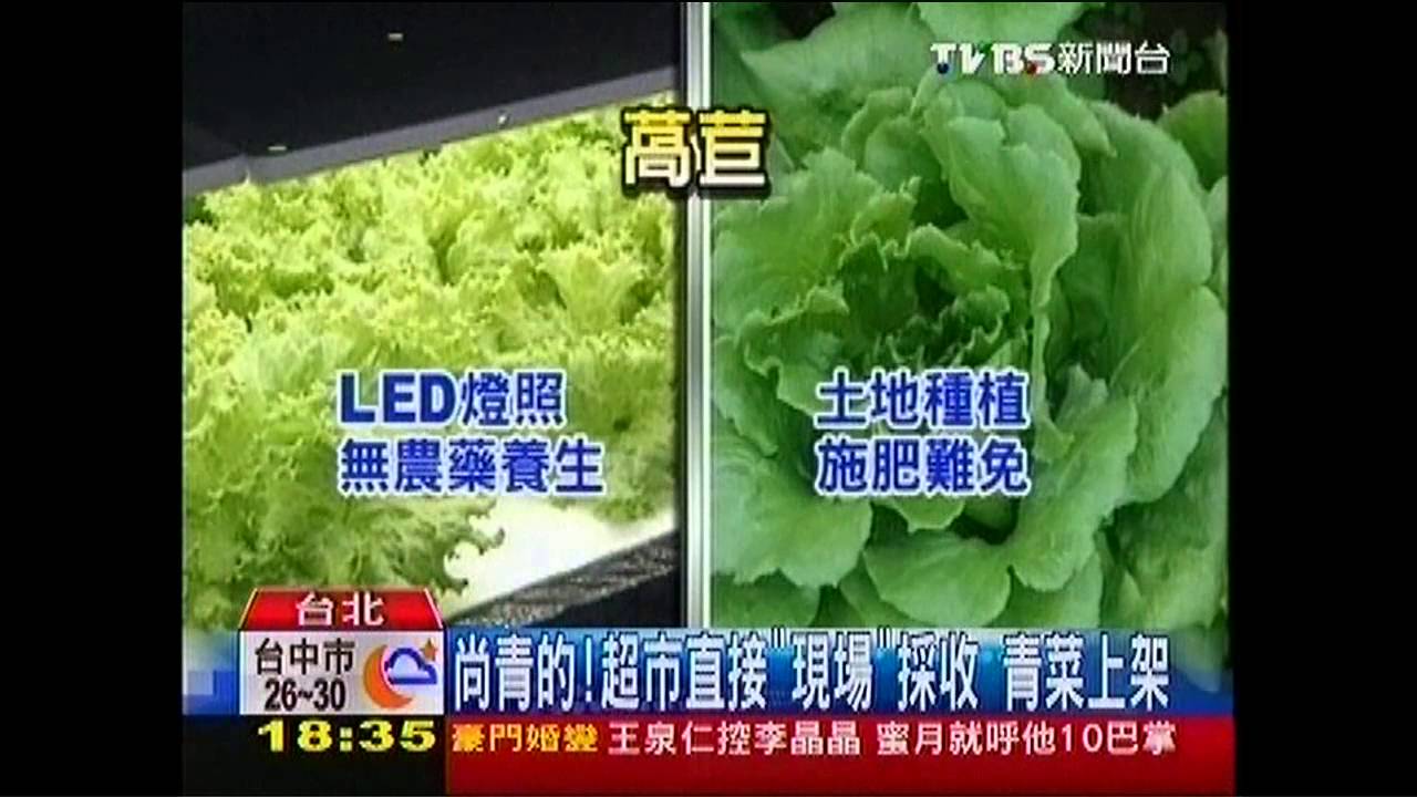 〈獨家〉「眼見為憑」現摘現買! 超市藏秘密菜園
