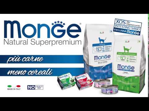 Clip Monge Natural Superpremium Cat