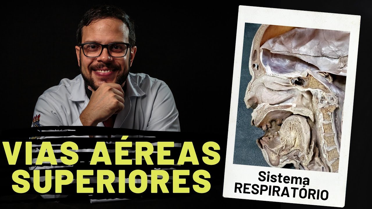 SISTEMA RESPIRATÓRIO: VIAS AÉREAS SUPERIORES - AULA PRÁTICA COM PROF. ANDRÉ OLIVEIRA