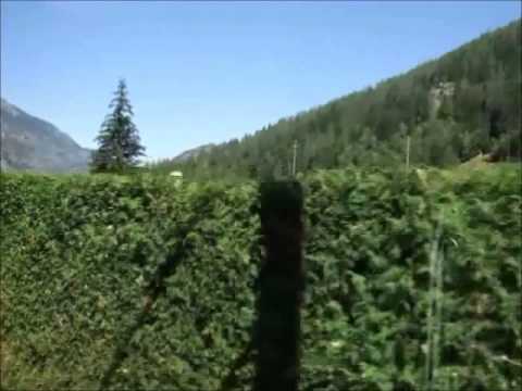 PASCAL DUBOIS / love thing