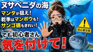 【初心者必見】バリ島ヌサペニダでマンタ・マンボウが見たい方へ|行く前に知ってほしいこと