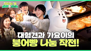 가요이가 붕어빵 준다길래 왔는데... 그냥 안 준다?ㅋㅋㅋ | 까부는게 제일 좋아 EP.11