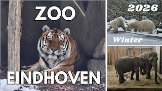 ZOO EINDHOVEN Winter 2026 - Versunken im Schnee auf Tiersuche -Expedit