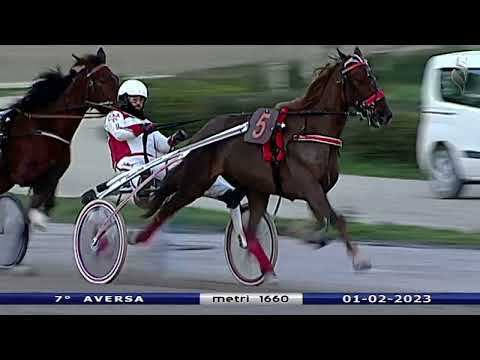 Aversa trotto 1 Febbraio 2023 - 7° Corsa
