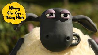 Download lagu Những Người Bạn Hài Hước Trên Cánh Đồng 🤣🌱 mp3 Download lagu Những Người Bạn Hài Hước Trên Cánh Đồng 🤣🌱 mp3