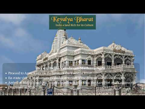 Video presentation: The Golden Triangle- Assignment