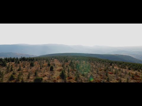 Náhled pro video reference
