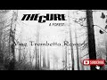 The Cure A Forest Vinz Trombetta Rework