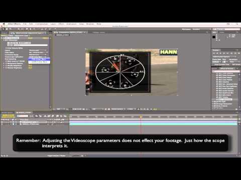 Check Color Levels with BCC Videoscope