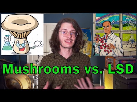 LSD vs Psilocybin – The Real Differences Explained