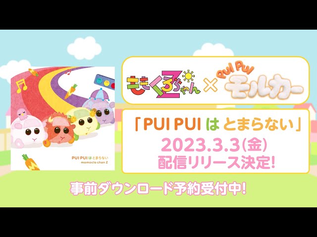 ももくろちゃんZ × 『PUI PUI モルカー』 コラボソング「PUI PUI はとまらない」配信リリース決定!ももくろちゃんモルカーがメンバーカラーの虹を駆け抜ける配信ジャケット公開! 4 YouTubeサムネイル