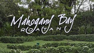 Mahogany Bay Roatán Honduras | Walking the Carnival Cruise Port