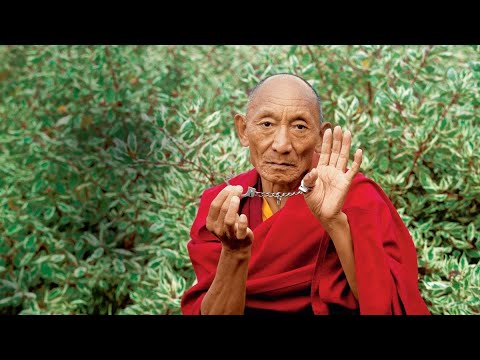 Twarda bania zaciśnięte pięści