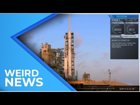 Cremated Remains Set to Launch Toward the Heavens on SpaceX Rocket Next Year | Weird News 2018