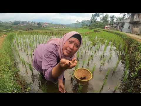 [FULL] MASAKAN UNIK NIKMAT ALA EMAK ENAH | ENAH BIKIN ENAK (08/12/25)