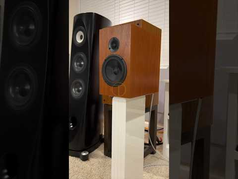 WiiM Amp Sound Test with CSS Torii Speaker