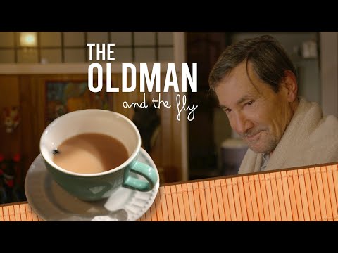 The old Man and the Fly