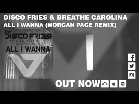Video thumbnail for All I Wanna (Morgan Page Remix)
