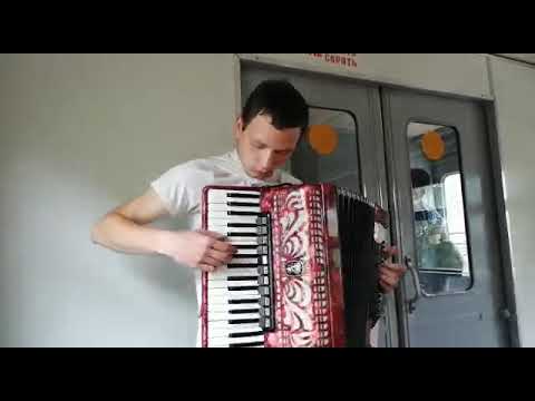 Музыка в электричке. Владислав Шабалин. Аккордион.