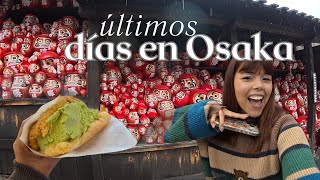 👉 Más de 25.000 PASOS bajo la LLUVIA en OSAKA 🇯🇵 | Darumas, matcha & shopping cute
