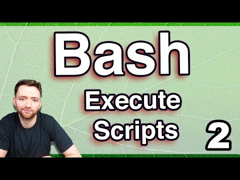 Executing Shell Scripts Bash Programing Tutorial 2