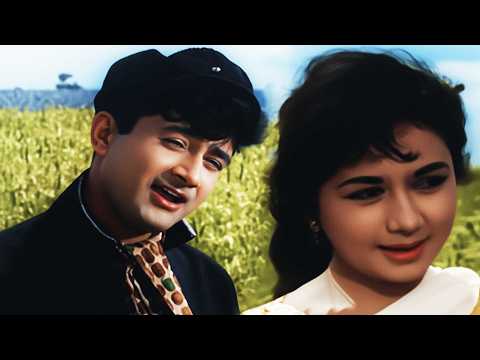 Likha Hai Teri Ankhon Me : Kishore Kumar - Lata Mangeshkar | Dev Anand | Old Hindi Songs