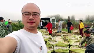 农村悦悦：湖北农村大叔养鳝鱼，100多口网箱养8个月起7000斤，豪挣10多万