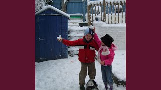 Winter Wonderland (Cover)