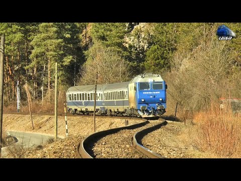 Horns Concert de Goarne By Jimmy 64-1300-4 in Defileul Crișul Repede Canyon - 28 February 2021