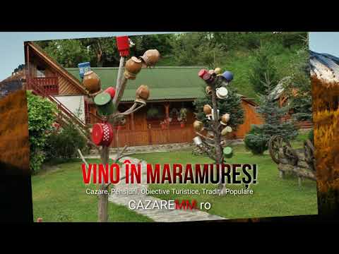 Cazare Barsana Maramures, Europa Hotel Baia Mare, Hotel Paltinis Borsa