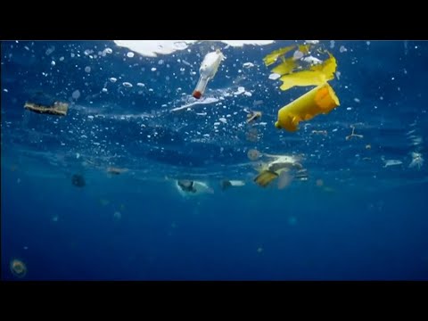 大西洋は「隠れた」マイクロプラスチックでいっぱい