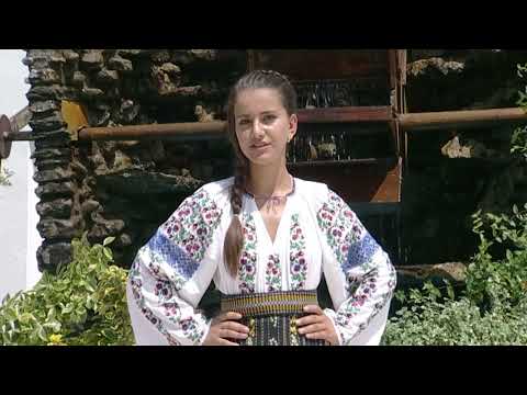 Amalia  Izabela Brinzan   - Veniti din strainatate -   Nasul  TV