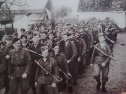 slavonija u borbi 41-45(partizani)