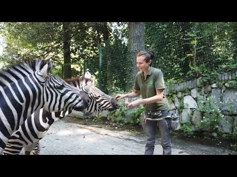 Parco Pallavicino - Un paradiso nella natura