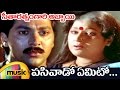 Seetharatnam Gari Abbayi Movie Pasivado Yemito Telugu Video Song Roja Vinod Kumar Vani Shri