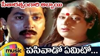 Seetharatnam Gari Abbayi Movie | Pasivado Yemito Telugu Video Song | Roja | Vinod Kumar | Vani Shri