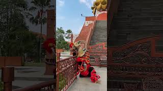 Download lagu Pengembala barongan ganas..!!! #arekbudoyo #jaranan mp3