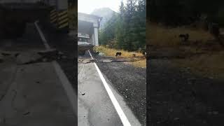 VIDEO FOTO Cad pietre pe Transfăgărășan - Atenție cum circulați! 2 video
