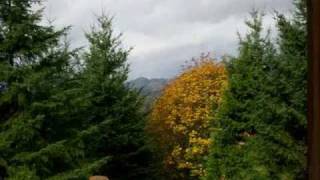 preview picture of video 'Oregon, Coast, Eugene, The Ponderosa, Pleasant Hill, 12.94 acres, $365,000'