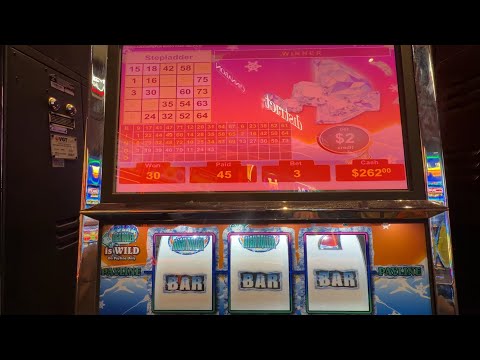 $2 Reel Fever, Polar High Roller, & Lucky Ducky! Not To Bad! #redscreen #vgt #slot #Gambling#casino 