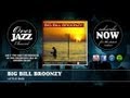 Big Bill Broonzy - Little Bug (1937)