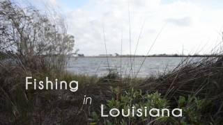 Fishing In Louisiana