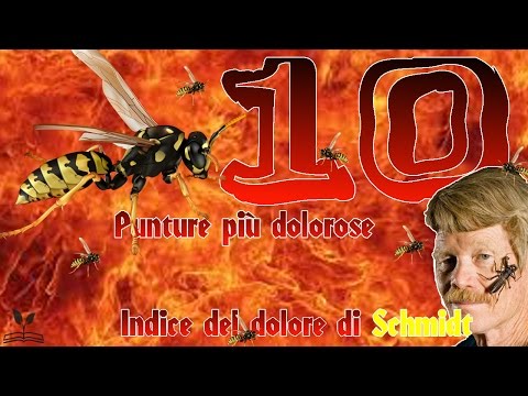 Dolori articolari, perdita di peso Colonna vertebrale lista trattamento sanatori