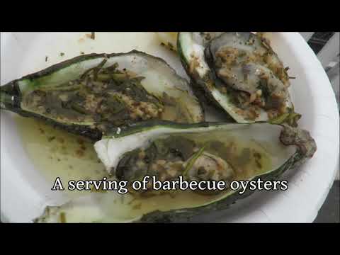 Pacifica Fog Festival 2022