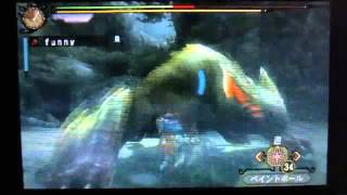 【mh3g】ろぼっちの狩猟日記part12　神速の刃、二連