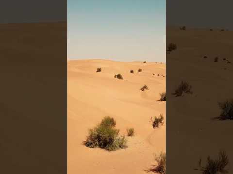 Quase ninguém acredita que isso fica no Rio Grande do Sul 😳
